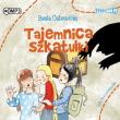 CD MP3 Tajemnica szkatułki. Autor: Ostrowicka Beata. Dadada.pl Okładka książki CD MP3 Tajemnica szkatułki