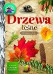 Drzewa leśne. Młody obserwator przyrody. Autor: Wilamowska Małgorzata. Dadada.pl Okładka książki Drzewa leśne. Młody obserwator przyrody