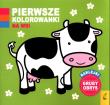 Okładka książki Pierwsze kolorowanki Na wsi