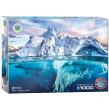 Opakowanie Puzzle 1000 Arktyka 6000-5539