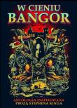 Okładka książki W cieniu Bangor