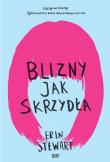 Blizny jak skrzydła. Autor: Erin Stewart. Dadada.pl Okładka książki Blizny jak skrzydła