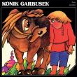 Konik Garbusek CD. Autor: Piotr Jerszow. Dadada.pl Okładka książki Konik Garbusek CD