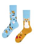 Zdjęcie produktu Many Mornings Skarpetki długie Playful Dog