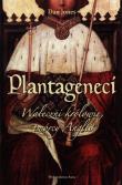Plantageneci. Waleczni królowie, twórcy Anglii. Autor: Jones Daniel. Dadada.pl Okładka książki Plantageneci. Waleczni królowie, twórcy Anglii