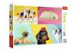 Opakowanie Puzzle 1000 Neon Color Line Odlotowe Psy TREFL