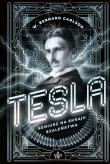 Tesla. Geniusz na skraju szaleństwa. Autor: Carlson W. Bernard. Dadada.pl Okładka książki Tesla. Geniusz na skraju szaleństwa