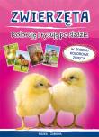 Zwierzęta Koloruję i rysuję po śladzie. Autor: Myślak Monika. Dadada.pl Okładka książki Zwierzęta Koloruję i rysuję po śladzie