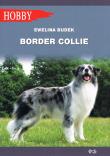 Border Collie (wyd. 2020). Autor: Budek Ewelina. Dadada.pl Okładka książki Border Collie (wyd. 2020)