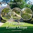 Okładka książki CD MP3 Pakiet Pensjonat Leśna Ostoja