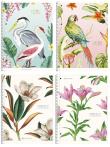 Opakowanie Kołozeszyt A4+/80K kratka Nature motifs ASTRA