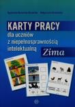KP dla uczniów z niepełnosprawnością...Zima. Autor: Agnieszka Borowska-Kociemba, Małgorzata Krukowska. Dadada.pl Okładka książki KP dla uczniów z niepełnosprawnością...Zima