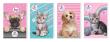Opakowanie Notes A6/30K z poddrukiem The Sweet Pets (12szt)