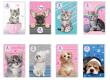 Opakowanie Notes A7/30K z poddrukiem The Sweet Pets (16szt)