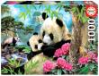 Opakowanie Puzzle 1000 Misie panda G3