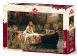 Opakowanie Puzzle 2000 Pani Shallot