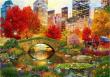 Opakowanie Puzzle 4000 Nowy York, Central Park