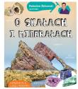 Radosław Żbikowski opowiada o skałach i minerałach wyd. 2020. Autor: Radosław Żbikowski. Dadada.pl Okładka książki Radosław Żbikowski opowiada o skałach i minerałach wyd. 2020
