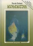 Kolekcja. Autor: Dehnel Jacek. Dadada.pl Okładka książki Kolekcja