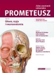 PROMETEUSZ Atlas anatomii człowieka Tom III. Mianownictwo ANGIELSKIE i POLSKIE. Autor: M. Schuenke, Schulte E., Schumacher U.. Dadada.pl Okładka książki PROMETEUSZ Atlas anatomii człowieka Tom III. Mianownictwo ANGIELSKIE i POLSKIE