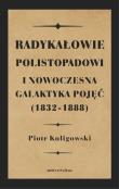 Okładka książki Radykałowie polistopadowi i nowoczesna galaktyka pojęć (1832-1888)