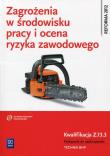 Okładka książki Zagrożenia w środowisku pracy i ocena ryzyka zawodowego Podręcznik do nauki zawodu technik BHP Z.13.3