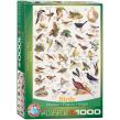 Opakowanie Birds6000-1259