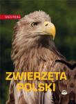Nasza Polska. Zwierzęta Polski. Autor: Opracowanie zbiorowe. Dadada.pl Okładka książki Nasza Polska. Zwierzęta Polski