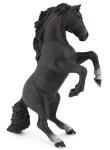 Okładka książki Papo Czarny koń stojący (51522)