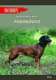 Posokowce (wyd. 2021). Autor: Król Magdalena. Dadada.pl Okładka książki Posokowce (wyd. 2021)