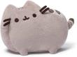 Opakowanie Pusheen 15cm
