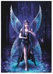 Opakowanie Puzzle 1000 Anne Stokes - Zachwyt