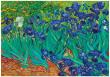 Opakowanie Puzzle 1000 Irysy, Vincent van Gogh