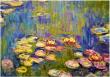 Opakowanie Puzzle 1000 Nenufary, Claude Monet