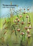 Tymczasem. Autor: Lilpop-Klimiuk Anna. Dadada.pl Okładka książki Tymczasem