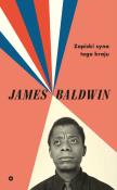 Zapiski syna tego kraju. Autor: Baldwin James. Dadada.pl Okładka książki Zapiski syna tego kraju