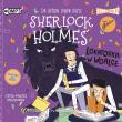 CD MP3 Lokatorka w woalce. Sherlock Holmes. Tom 9. Autor: Sir Arthur Conan Doyle. Dadada.pl Okładka książki CD MP3 Lokatorka w woalce. Sherlock Holmes. Tom 9
