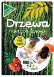 Drzewa naszych lasów. Autor: Andżelika Bielańska. Dadada.pl Okładka książki Drzewa naszych lasów