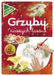 Grzyby naszych lasów. Autor: Katarzyna Kopiec-Sekieta. Dadada.pl Okładka książki Grzyby naszych lasów
