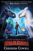 How to Train Your Dragon Book 1. Autor: Cressida Cowell. Dadada.pl Okładka książki How to Train Your Dragon Book 1