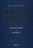 Nowe msze o Najświętszej Maryi Pannie. Autor: ks. Antoni Paciorek, ks. Henryk Witczyk. Dadada.pl Okładka książki Nowe msze o Najświętszej Maryi Pannie