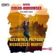 Przezwykłe przygody nieboszczki Marysi audiobook. Autor: Kamila Ciołko-Borkowska. Dadada.pl Okładka książki Przezwykłe przygody nieboszczki Marysi audiobook