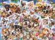 Opakowanie Puzzle 2000 Collage selfie