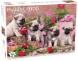 Opakowanie Puzzle Puppy Pugs 1000 el /58313/