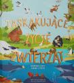 Zaskakujące życie zwierząt. Autor: Claybourne Anna, Stef Murphy. Dadada.pl Okładka książki Zaskakujące życie zwierząt