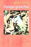 Okładka książki Dzieje grzechu