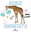 Dzikie zwierzęta. Autor: Grzankowska Ewelina. Dadada.pl Okładka książki Dzikie zwierzęta