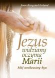 Jezus widziany oczyma Marii. Autor: Joan Krogstad Ireland. Dadada.pl Okładka książki Jezus widziany oczyma Marii