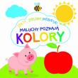 Okładka książki Maluchy poznają kolory