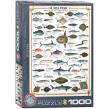 Opakowanie Puzzle 1000 Ryba morska 6000-0313